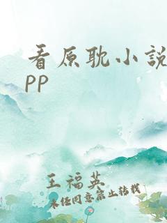 看原耽小说的app