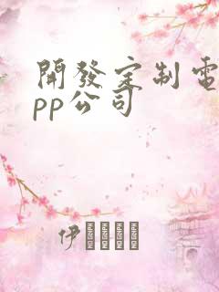 开发定制电商app公司