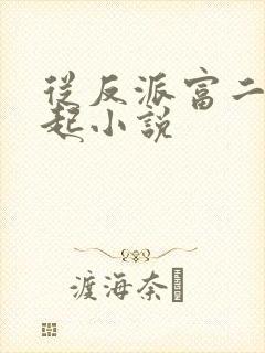从反派富二代崛起小说