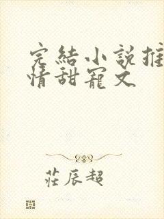 完结小说推荐言情甜宠文