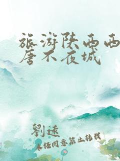 旅游陕西西安大唐不夜城