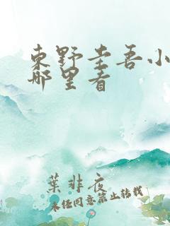 东野圭吾小说在哪里看