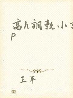 高h调教小说np