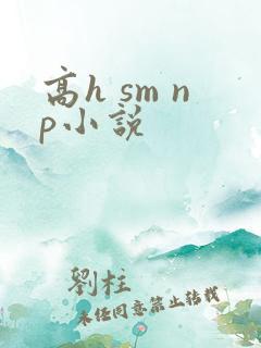 高h sm np小说 高h sm np小说