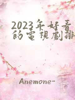 2023年好看的电视剧排行榜前十名
