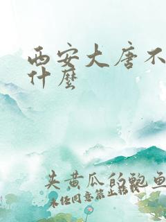 西安大唐不夜城什么