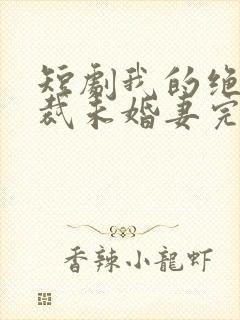 短剧我的绝色总裁未婚妻完整版在线看完