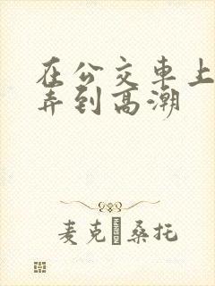 在公交车上被人弄到高潮