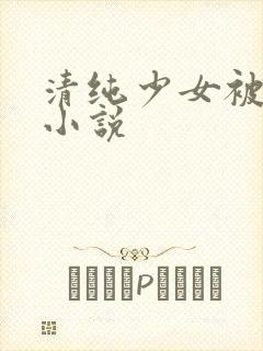 清纯少女被调教小说
