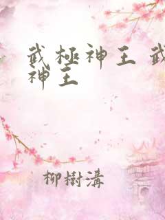 武极神王 武极神王