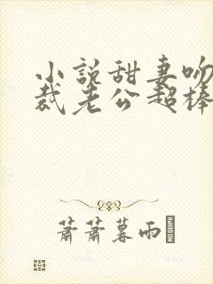 小说甜妻吻安总裁老公超棒的