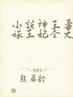 小说神王毒宠二嫁王妃全文