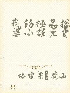 我的极品总裁老婆小说免费阅读全文