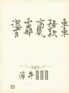 混电商务车七座有哪几款车型
