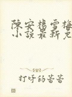 陈安杨雪梅许晴小说最新免费章节