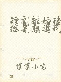 短剧离婚后前夫总是想追我免费观看