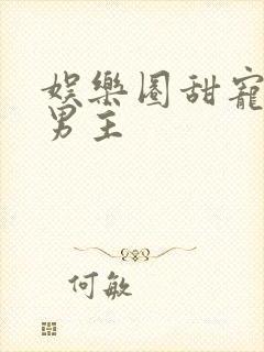 娱乐圈甜宠文双男主