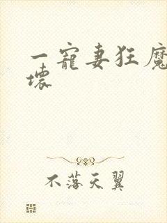 一宠妻狂魔别太坏