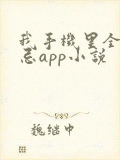 我手机里全是禁忌app小说