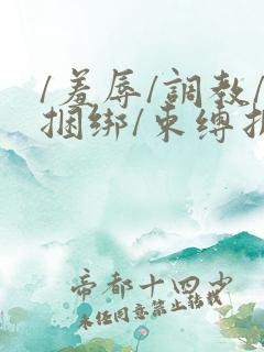 /羞辱/调教/捆绑/束缚折磨