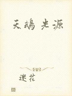天鹅 光源