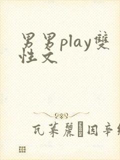 男男play双性文