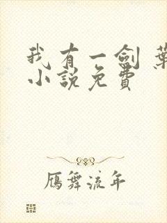 我有一剑 叶观小说免费