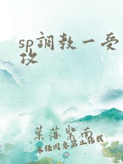 sp调教一受多攻