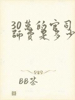 30万的官司律师费是多少