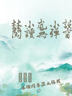 林小岚小说免费阅读无弹窗