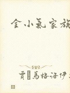 金小气家族小说 金小气家族小说