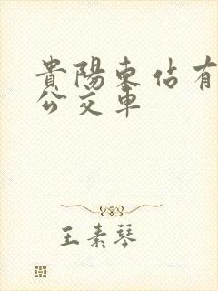 贵阳东站有哪些公交车