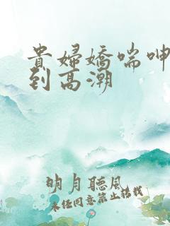 贵妇娇喘呻吟爽到高潮