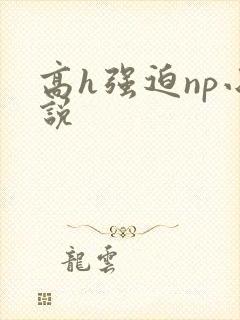 高h强迫np小说