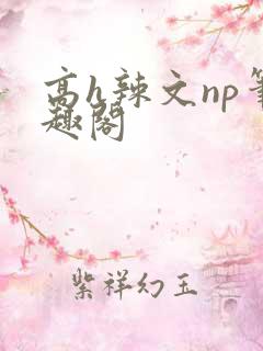 高h辣文np笔趣阁