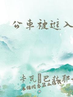 公车被进入