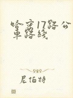 哈密17路公交车路线
