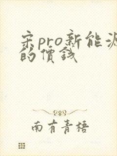 宋pro新能源的价钱