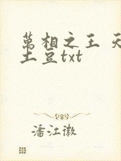 万相之王 天蚕土豆txt