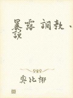 暴露 调教 小说