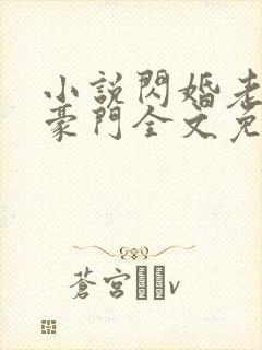 小说闪婚老公是豪门全文免费阅读