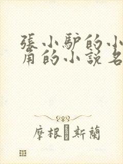 张小驴的小说主角的小说名字 张小驴的小说主角的小说名字