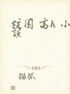 校园 高h 小说