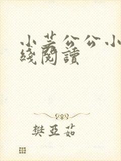 小芸公公小说在线阅读