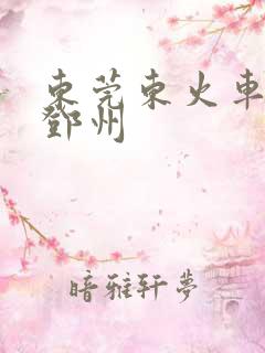 东莞东火车站至邓州
