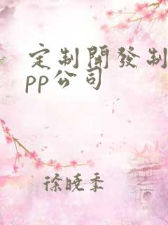 定制开发制作app公司