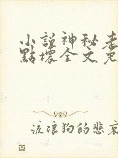小说神秘老公有点坏全文免费阅读 小说神秘老公有点坏全文免费阅读