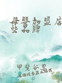 母婴加盟店有哪些品牌