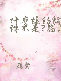 什么样的轮子只转不走?脑筋急转弯
