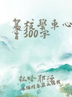 驾校学车心得体会300字